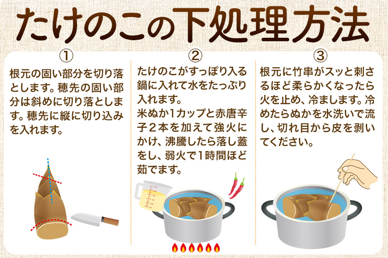 宮城県利府町産 採れたて たけのこ 皮付き2kg以上（2〜6本）筍 タケノコ 野菜 国産 新鮮 旬