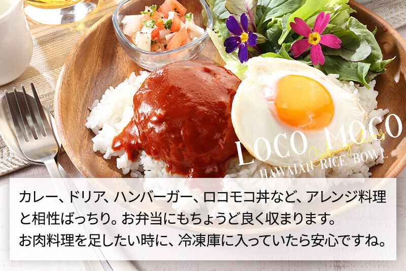 《定期便5ヶ月》お肉屋さんのハンバーグ 昔懐かしいデミグラスソース(160g×4個)＆和風オニオンソース(150g×4個) ×5回 [ハンバーグ 肉 おかず 惣菜 個包装 簡単 湯せん 洋食 湯煎 個別包装 小分 お弁当 便利 お試し]