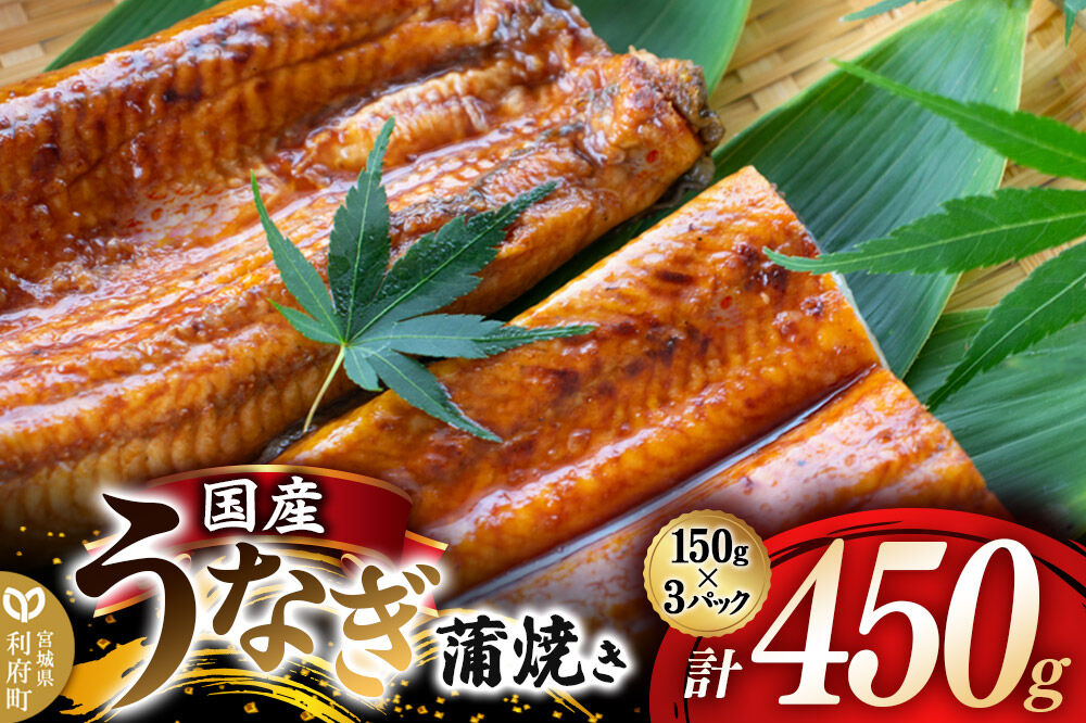 国産うなぎ蒲焼 450g(1パック150g×3) 高知県産 [国産 うなぎ 蒲焼 湯煎 簡単 時短 調理 上品 ふっくら 柔らか 秘伝のたれ 宮城県 利府町 ウツミ水産]