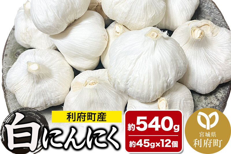 宮城県利府町産 白にんにく（約45g×12個 約540g）野菜 国産 新鮮