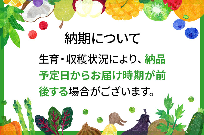 宮城県利府町産 採れたて 高級白子たけのこ 皮付き2kg以上（2〜6本）筍 タケノコ 野菜 国産 新鮮 旬