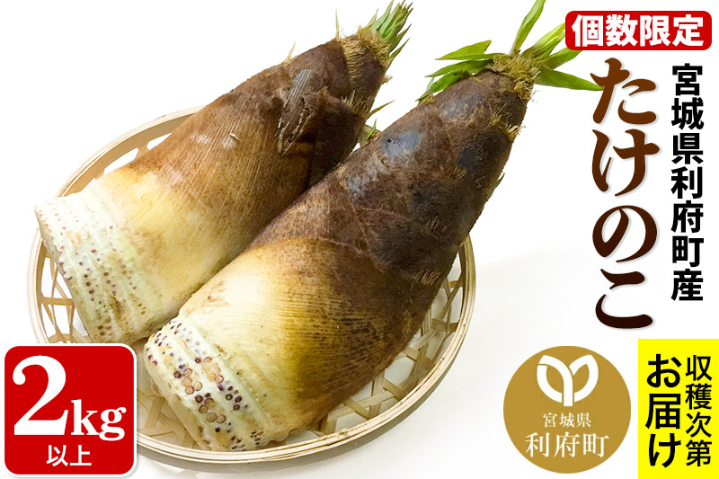 宮城県利府町産 採れたて たけのこ 皮付き2kg以上（2〜6本）筍 タケノコ 野菜 国産 新鮮 旬