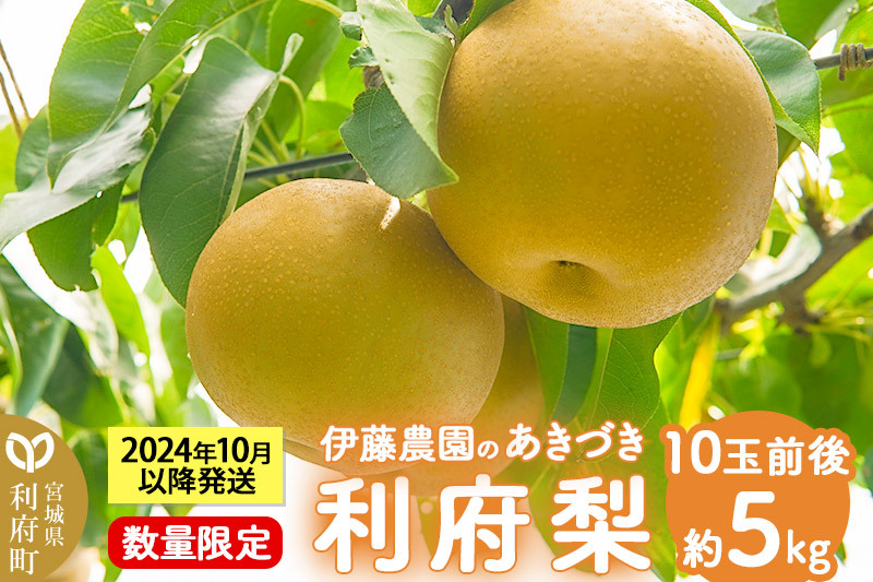 数量限定 利府梨（あきづき）5kg（10玉前後）