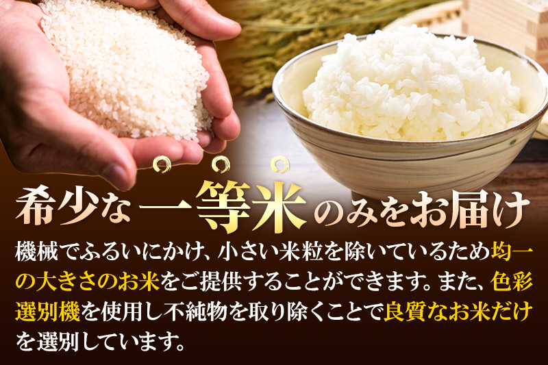 【無洗米】＜新米＞宮城県利府町産 一等米ひとめぼれ10kg(10kg×1) 令和6年産