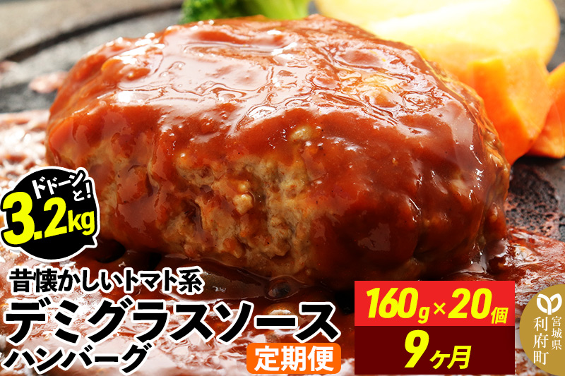 《定期便9ヶ月》ドドンと3.2kg！昔懐かしいトマト系デミグラスソースハンバーグ (160g×20個)×9回 肉 洋食 簡単 大容量 湯煎 湯せん 個包装