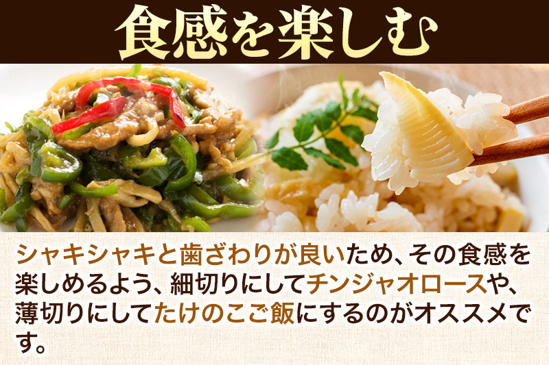 宮城県利府町産 採れたて たけのこ 皮付き2kg以上（2〜6本）筍 タケノコ 野菜 国産 新鮮 旬