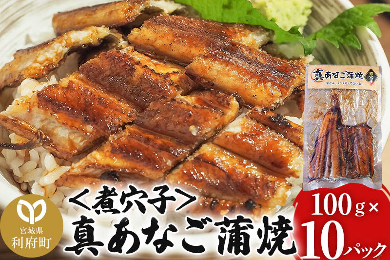 真あなご蒲焼＜煮穴子＞ 100g×10P