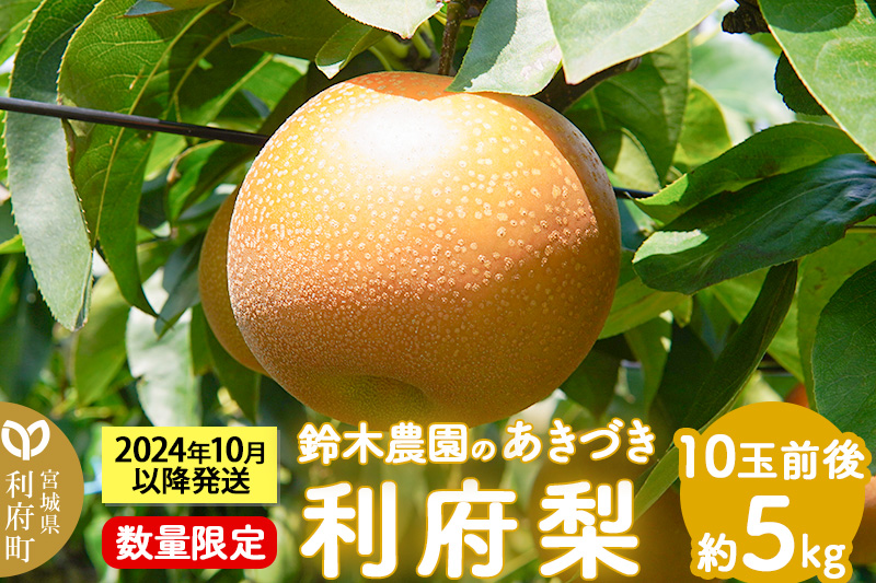 個数限定 利府梨（あきづき）5kg（10玉前後） 鈴木梨園