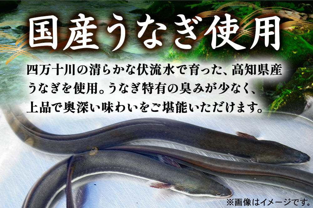 国産うなぎ蒲焼 450g(1パック150g×3) 高知県産 [国産 うなぎ 蒲焼 湯煎 簡単 時短 調理 上品 ふっくら 柔らか 秘伝のたれ 宮城県 利府町 ウツミ水産]