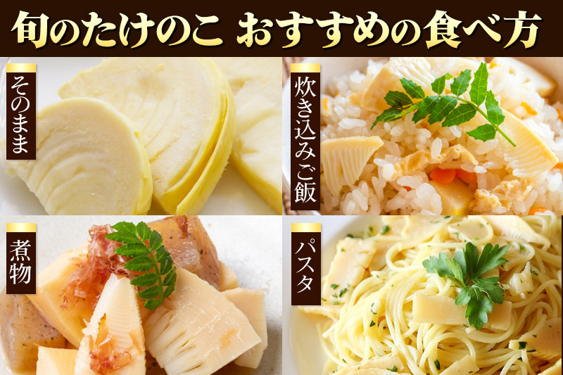 【先行受付 2026年4月以降発送】宮城県利府町産 採れたて たけのこ 皮付き2kg以上（2〜6本）筍 タケノコ 野菜 国産 新鮮 旬