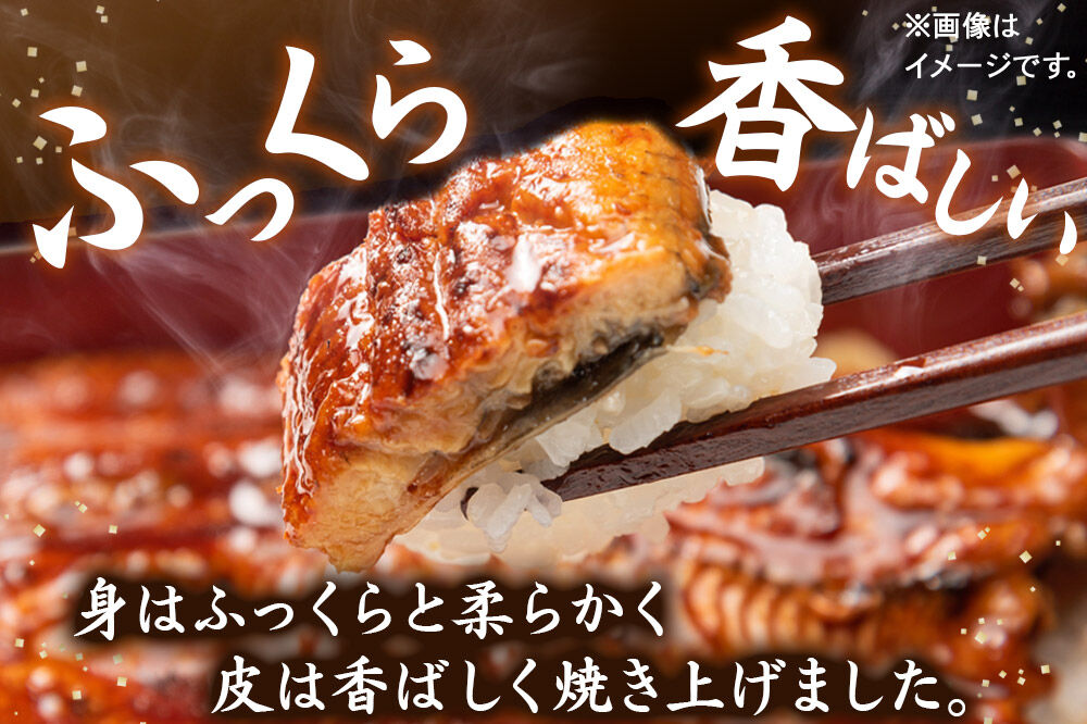 国産うなぎ蒲焼 450g(1パック150g×3) 高知県産 [国産 うなぎ 蒲焼 湯煎 簡単 時短 調理 上品 ふっくら 柔らか 秘伝のたれ 宮城県 利府町 ウツミ水産]