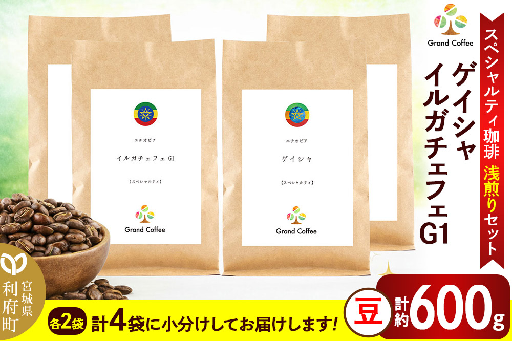 コーヒー 【スペシャルティ珈琲浅煎りセット】 2袋×2種類（計約600g） 宮城県利府町（豆）