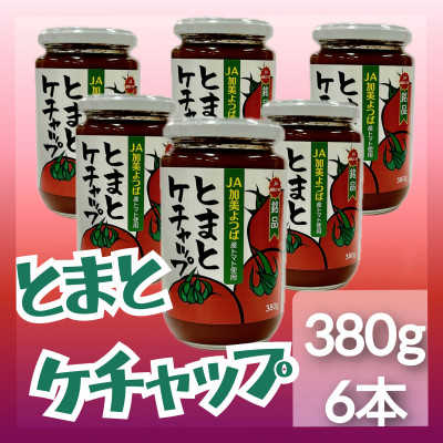 とまとケチャップ 380g×6個【配送不可地域：離島・沖縄県】【1307530】