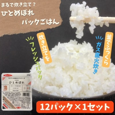 【パックご飯】炊きたてをフレッシュパック　ひとめぼれ12個入　1セット【配送不可地域：離島・沖縄県】【1355775】