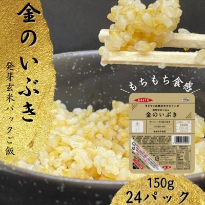 【宮城県産玄米】金のいぶき　発芽玄米パックごはん(150g×12個)×2セット【1676118】