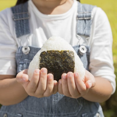 【毎月定期便】宮城県産 ひとめぼれ 精米 10kg(5kg×2)全3回【配送不可地域：離島・沖縄県】【4078809】