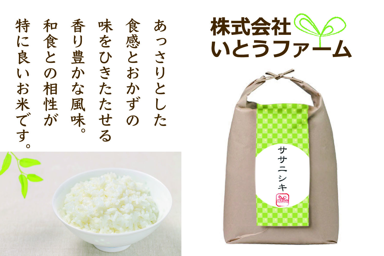 【2品種選べる】いとうファームの 令和6年産 食べ比べセットB 各2kg×2種 計4kg（ササニシキ・だて正夢） / 米 お米 精米 白米 ご飯 食べ比べ セット 産地直送【itofarm002-3】