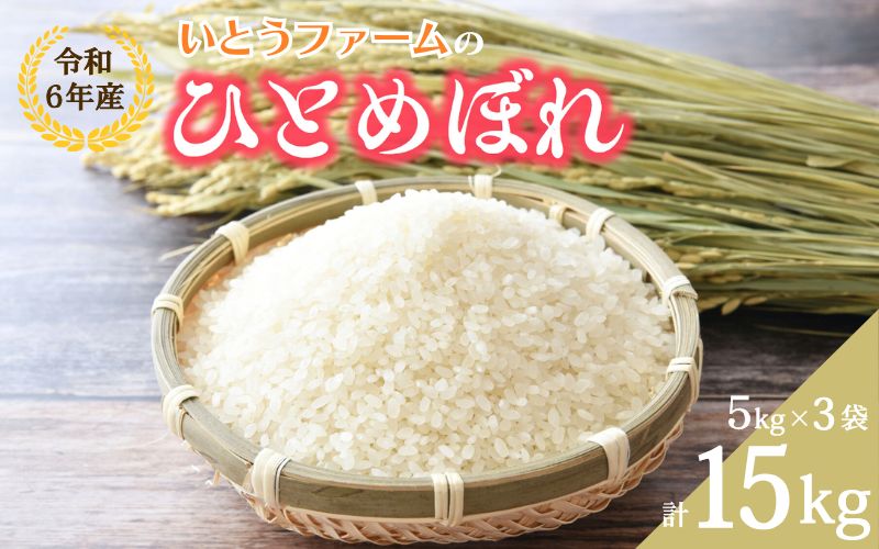 いとうファームの 令和6年産「ひとめぼれ」15kg（5kg×3袋） / 米 お米 精米 白米 ご飯  産地直送 【itofarm009】