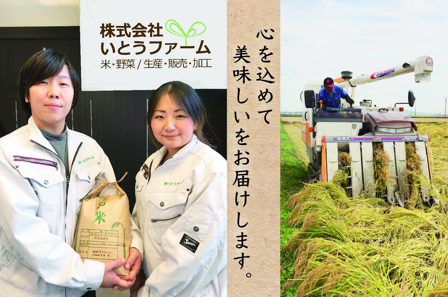 いとうファームの 令和６年産 「つや姫」 5kg / 米 お米 精米 白米 ご飯  産地直送【itofarm030】