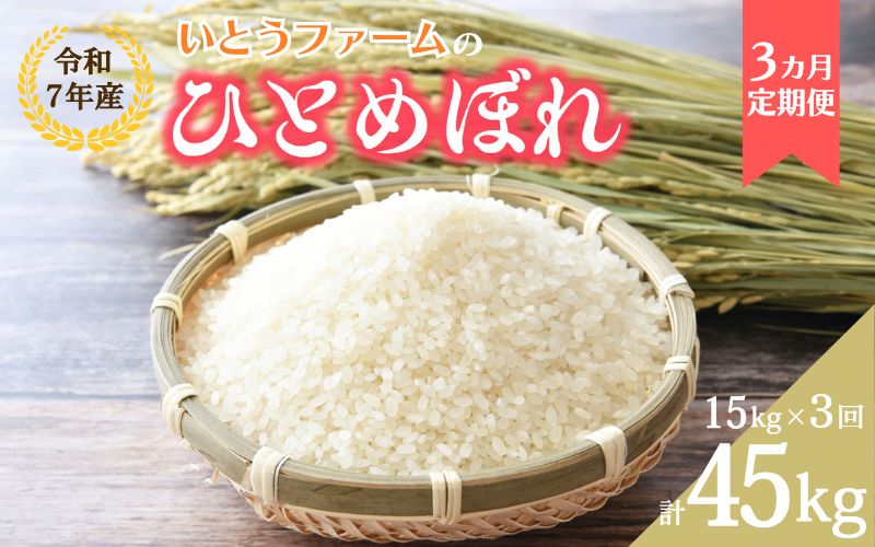 【3ヶ月定期便】いとうファームの 令和7年産「ひとめぼれ」15kg×3回 計45kg / 米 お米 精米 白米 ご飯  米定期便 産地直送 【itofarm017】