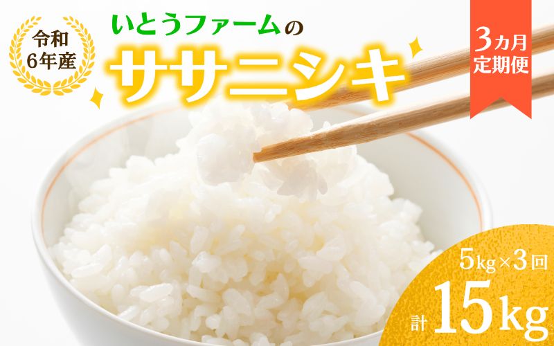 【3ヶ月定期便】いとうファームの 令和6年産「ササニシキ」5kg×3回 計15kg / 米 お米 精米 白米 ご飯  米定期便 産地直送 【itofarm012】