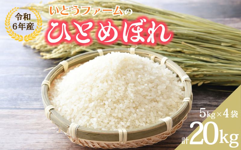 いとうファームの 令和6年産「ひとめぼれ」 20kg （5kg×4袋） / 米 お米 精米 白米 ご飯  産地直送【itofarm028】