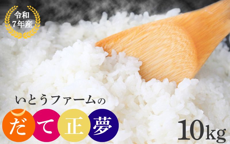 【宮城米の夢をかなえた極良食味品種】いとうファームの 令和7年産 「だて正夢」 10kg / 米 お米 精米 白米 ご飯  産地直送【itofarm037】