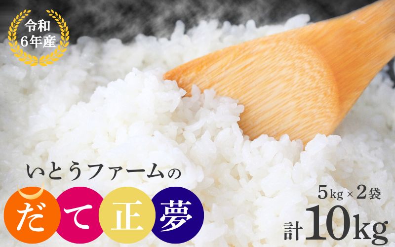 【宮城米の夢をかなえた極良食味品種】いとうファームの 令和6年産 「だて正夢」 10kg （5kg×2袋） / 米 お米 精米 白米 ご飯  産地直送【itofarm036】