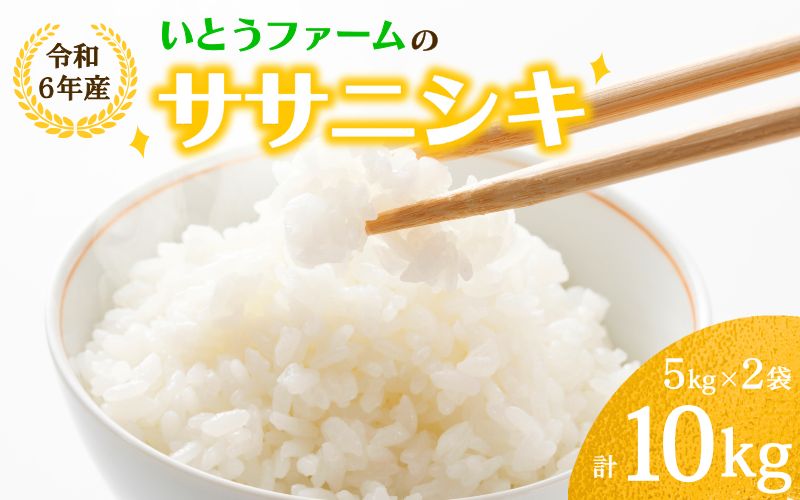 いとうファームの 令和6年産 「ササニシキ」 10kg （5kg×2袋） / 米 お米 精米 白米 ご飯  産地直送 【itofarm021】