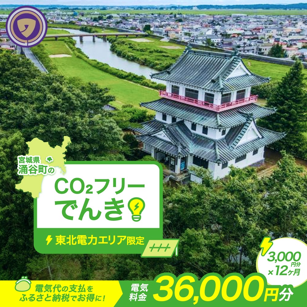 涌谷町CO2フリーでんき 3,000円×12ヶ月コース【※※お申込み前に申込条件を必ずご確認ください】 東北電力 電気 電力 東北 電気代 電気料金 青森県 岩手県 宮城県 秋田県 山形県 福島県 新潟県 でんき