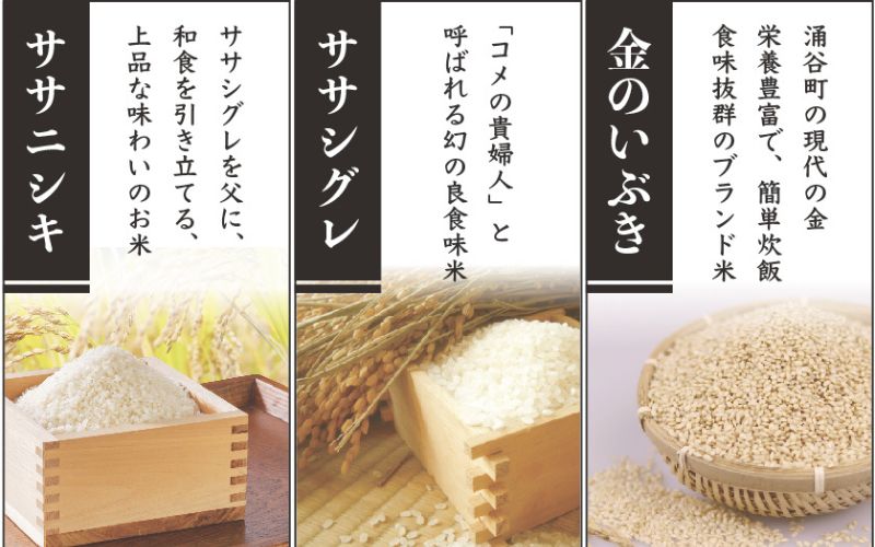 ササニシキ親子米 ( ササニシキ ・ ササシグレ ) ＆ 金のいぶき 玄米 セット 各1kg 計3kg / 玄米 米 お米 ご飯 ブランド米 健康 栄養豊富 産地直送 【aubless016】