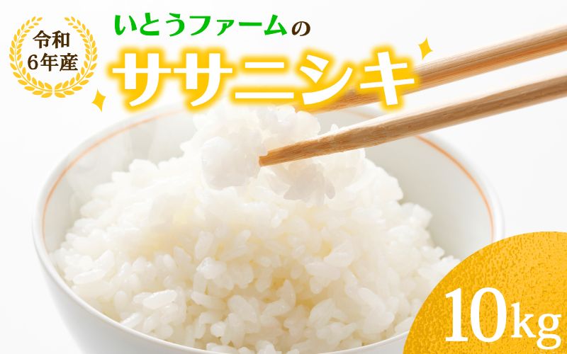 いとうファームの 令和6年産 「ササニシキ」 10kg×1袋 / 米 お米 精米 白米 ご飯  産地直送 【itofarm022】