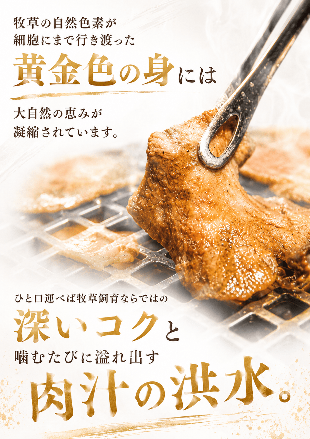 é»éçããå¡©å³ / çã¿ã³ çŒè ãã ç ã¿ã³ BBQãtontaro007ã