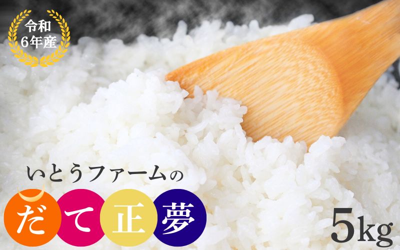 【宮城米の夢をかなえた極良食味品種】いとうファームの 令和6年産 「だて正夢」 5kg / 米 お米 精米 白米 ご飯  産地直送【itofarm035】