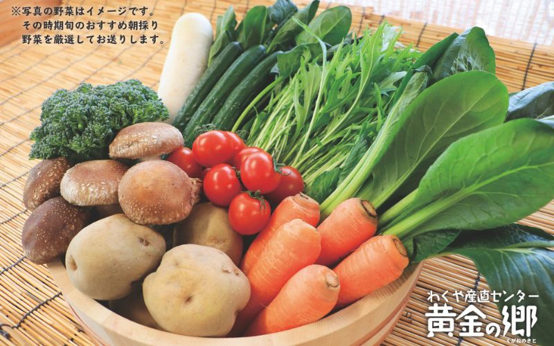 黄金の郷 季節のお野菜 お楽しみBセット / 野菜 やさい セット 詰め合わせ 旬 新鮮 産地直送 朝採れ 【aubless002】