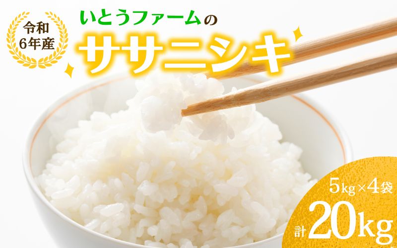 いとうファームの 令和6年産 「ササニシキ」 20kg （5kg×4袋） / 米 お米 精米 白米 ご飯  産地直送【itofarm023】