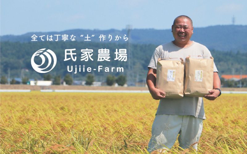 令和6年産 氏家農場の幻のお米 「ササシグレ」 10kg / 米 お米 精米 白米 ご飯 希少 産地直送【aubless020】