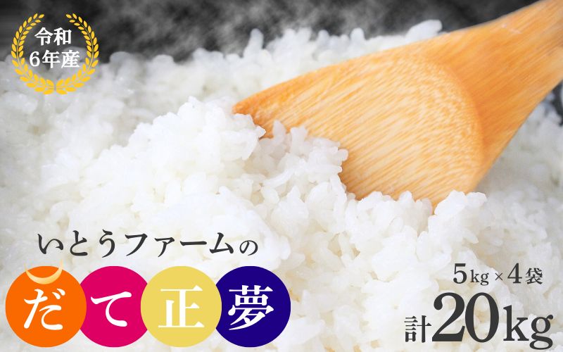 【宮城米の夢をかなえた極良食味品種】いとうファームの 令和6年産 「だて正夢」 20kg （5kg×4袋） / 米 お米 精米 白米 ご飯  産地直送【itofarm038】