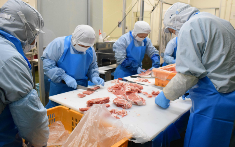 å®®åçç£ ä»å°ç ãã¡ãŒã¹ããŒã 500g ( çŽ170g à 3æ ) è çè åç åœç£ å·åãsari003ã