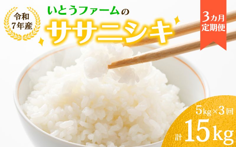 【3ヶ月定期便】いとうファームの 令和7年産「ササニシキ」5kg×3回 計15kg / 米 お米 精米 白米 ご飯  米定期便 産地直送 【itofarm012】