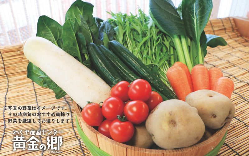 黄金の郷 季節のお野菜 お楽しみAセット / 野菜 やさい セット 詰め合わせ 旬 新鮮 産地直送 朝採れ 【aubless001】