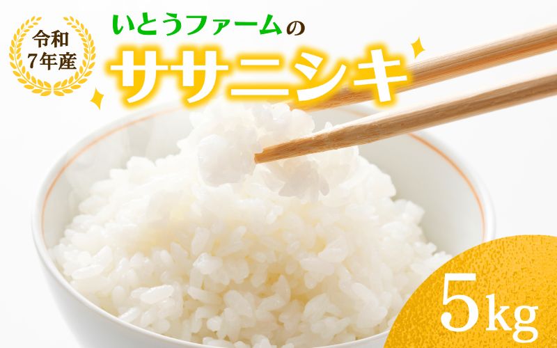 いとうファームの 令和7年産「ササニシキ」5kg / 米 お米 精米 白米 ご飯  産地直送 【itofarm020】