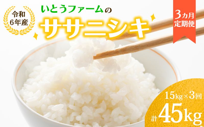 【3ヶ月定期便】いとうファームの 令和6年産「ササニシキ」15kg×3回 計15kg / 米 お米 精米 白米 ご飯  米定期便 産地直送 【itofarm016】