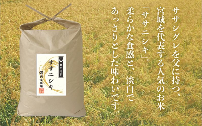 令和6年産 氏家農場のこだわりのお米 「ササニシキ」 5kg / 米 お米 精米 白米 ご飯 産地直送 【aubless018】