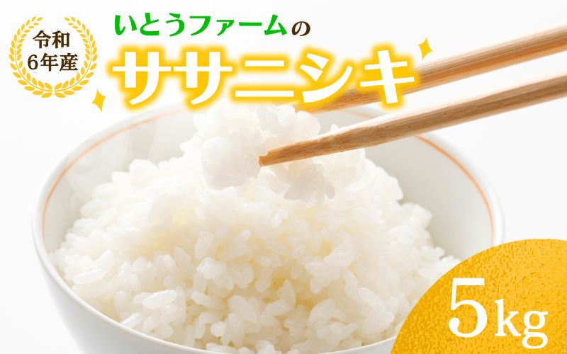 いとうファームの 令和6年産「ササニシキ」5kg / 米 お米 精米 白米 ご飯  産地直送 【itofarm020】