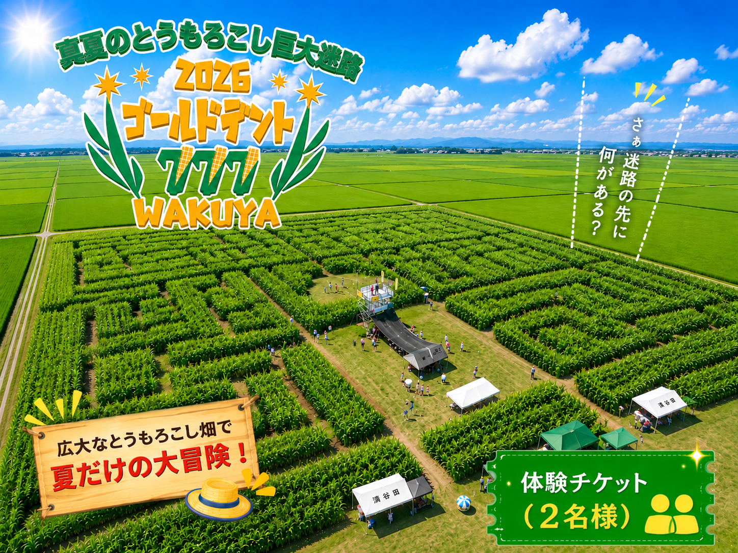 真夏のとうもろこし巨大迷路 2026 ゴールドデント777 WAKUYA｜とうもろこし コーン 迷路 とうもろこし畑 トウモロコシ 涌谷町 デントコーン 巨大迷路 冒険 レジャー 宝探し 真夏 とうもろこし コーン トウモロコシ【saito006】