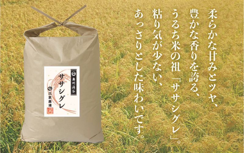 令和6年産 氏家農場の幻のお米 「ササシグレ」 10kg / 米 お米 精米 白米 ご飯 希少 産地直送【aubless020】