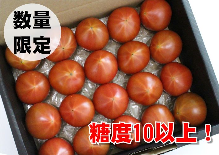 【糖度10度以上！】プレミアム麗月２kg ※沖縄・離島配送不可 / とまと 野菜 トマト