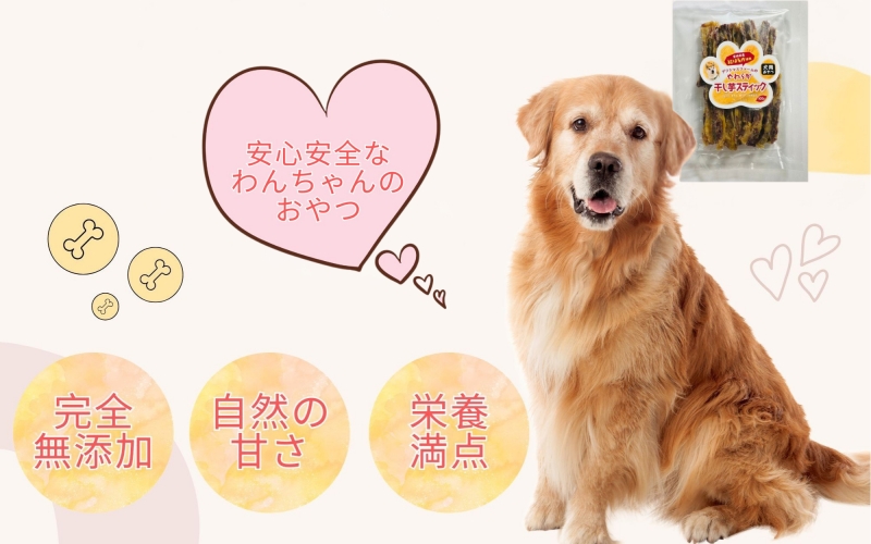 【犬のおやつ】やわらか干し芋スティック100g×5袋　/ さつまいも 芋 お芋 おやつ 干し芋 おいも