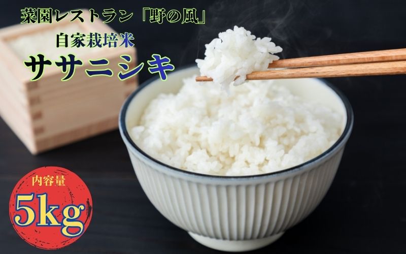 【令和7年産】数量限定 　菜園レストラン「野の風」自家栽培米　ササニシキ5kg  /  精米 小分け 人気 ランキング  お米 米 ささにしき
